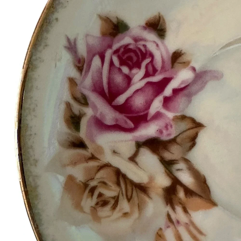 Choice Imports Vintage Floral Teacup and Saucer Set Gold Trim Iridescent‎ Rose
